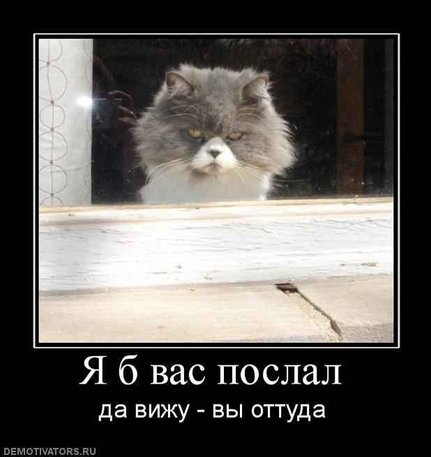   - 1  2017  17:41
