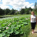 ���� �������� ��������, ������������, 58 ��� - ��������� 24 ������� 2017 � ������ ���� ����������