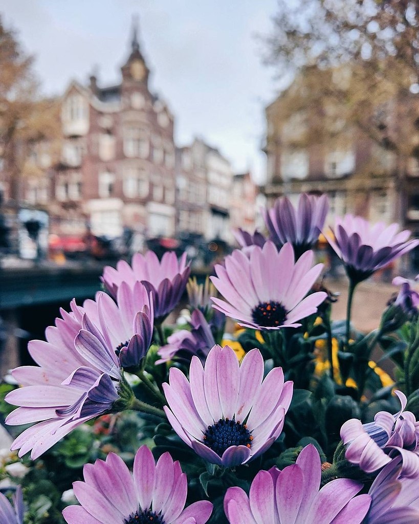 Netherlands