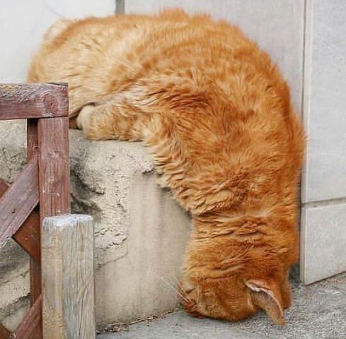 ))). ...   ... ))))