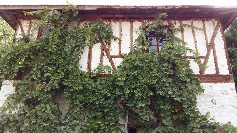 Pevril - 17 ������� 2017 � 09:18 - 14