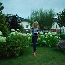  , , 72  -  5  2017    2017