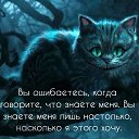 ���� �����, �����-���������, 51 ��� - ��������� 16 ������ 2017 � ������ ������ ��������