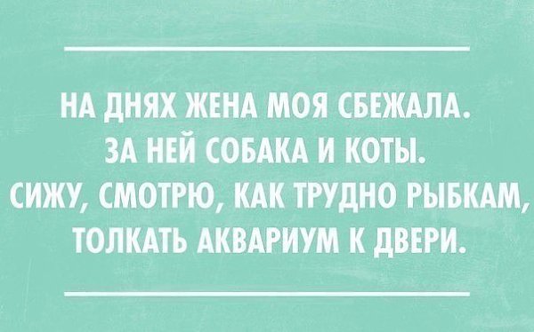  ! - 27  2017  23:12