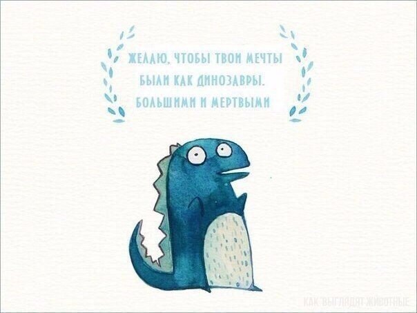    . - 8