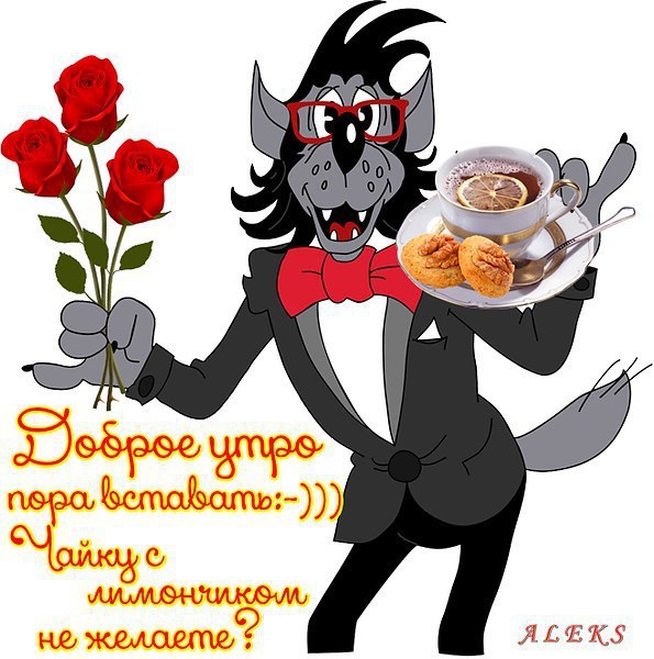   - 16  2017  05:04