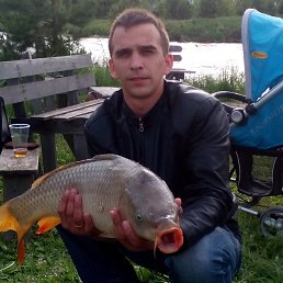 , 33, 