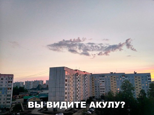    :D - 13  2017  21:03