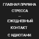 ���� � ���������, ������������ - ��������� 5 �������� 2017 � ������ ������ ��������