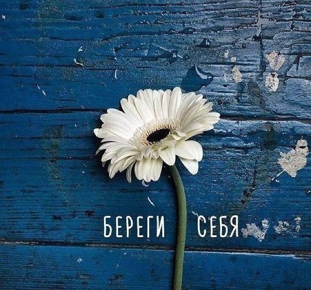  - 3  2017  01:10