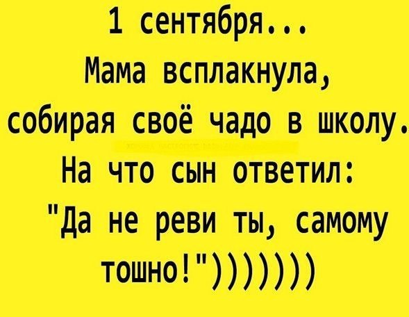    - 5  2017  09:55