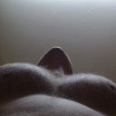 ���� �����, �������, 45 ��� - ��������� 13 ������� 2017 � ������ ���� ����������