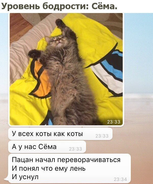  - 21  2017  03:30