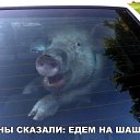 ���� �������, �������, 47 ��� - ��������� 15 ��� 2017 � ������ �����