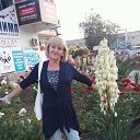 ���� ������, ������ - ��������� 21 ���� 2017 � ������ ���� ����������