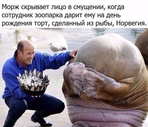   -   - 11  2017  12:03