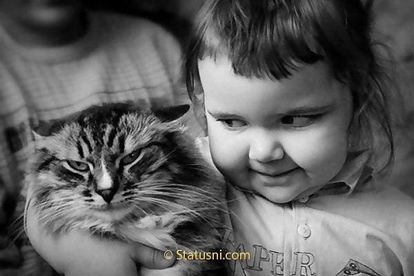 Когда мой кот косячит, я не ругаю его.. Я просто отношу его сестрам, которым 4 и 2 года