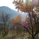 ���� ����, ������ - ��������� 16 ������ 2017 � ������ ���� �����