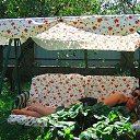 ���� ���������, ������, 50 ��� - ��������� 17 ������� 2017 � ������ ���� ����������