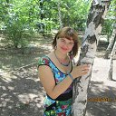 ���� �������, ���������, 42 ���� - ��������� 4 �������� 2017 � ������ ���� ����������