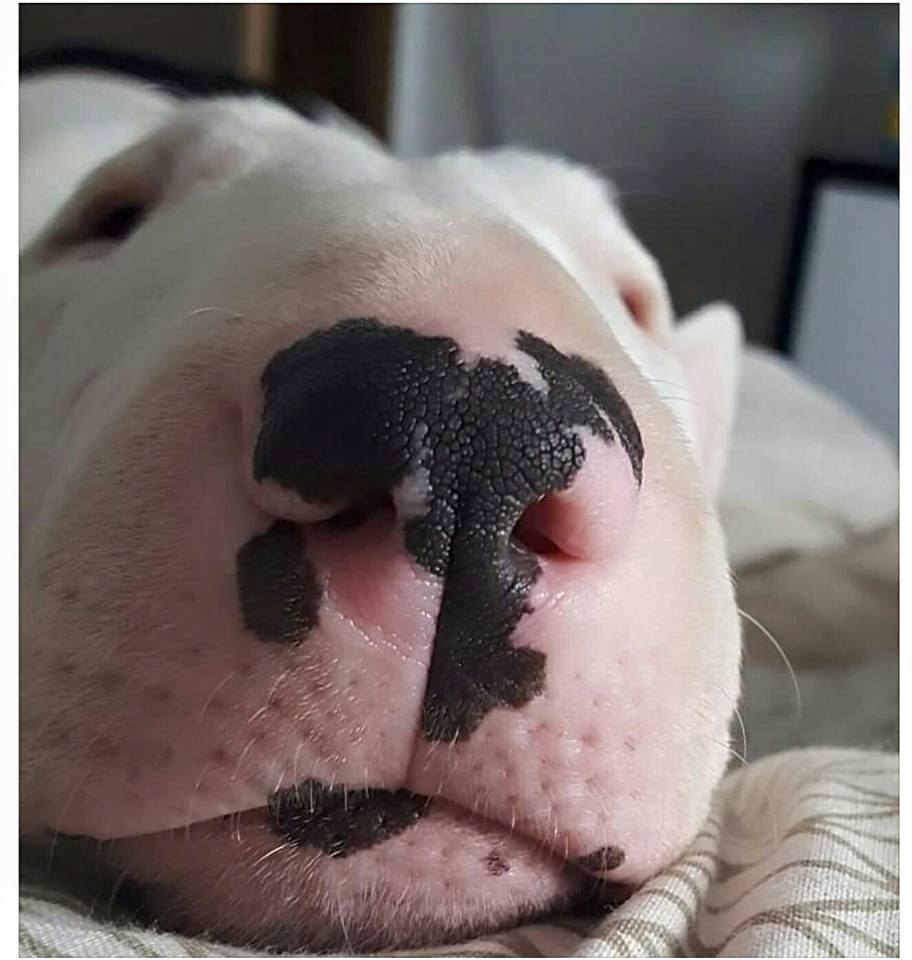 Предлагаю всем забыть обиды, и стать чуточку добрее