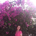 ���� ����, ������, 42 ���� - ��������� 14 ��� 2017 � ������ ���� ����������