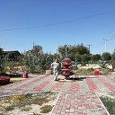 ���� ��������, ���������, 56 ��� - ��������� 13 �������� 2017 � ������ ���� ����������