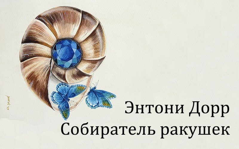 Собиратель ракушка аудиокнига. Энтони Дорр собиратель ракушек. Собиратели ракушек книга. Собиратель снов ракушки.