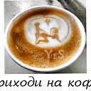 ���� ����� ���, ������, 42 ���� - ��������� 15 ���� 2017 � ������ ���� ����������