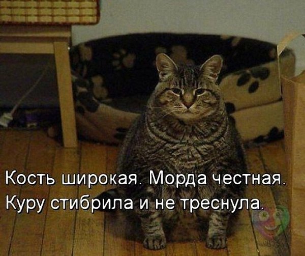   - 16  2017  17:48