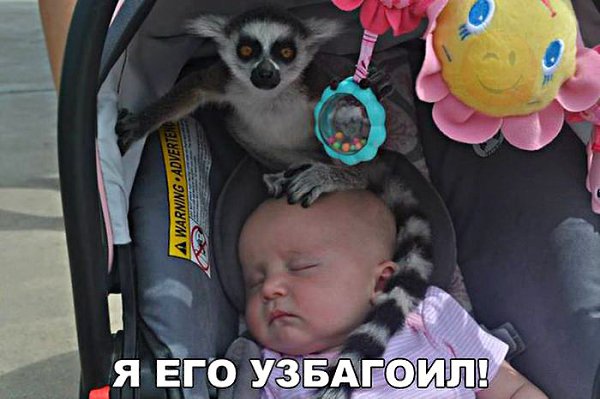 Ivan Karataev - 27  2017  04:05