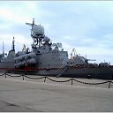  Alex261163, , 61  -  28  2017    