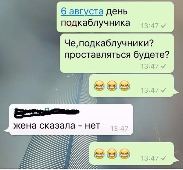   - 6  2017  15:38