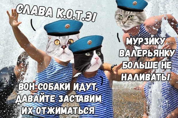    !  !