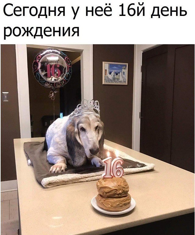    ! - 5