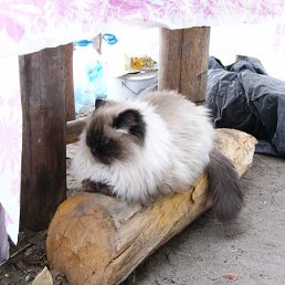 ������, ����, 57 ���