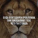 ���� �������, ��������������, 55 ��� - ��������� 10 ������� 2017 � ������ ���� ����������