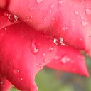 ���� �������, ������, 48 ��� - ��������� 8 ���� 2017 � ������ ������ ��������