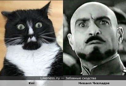  .....)))))