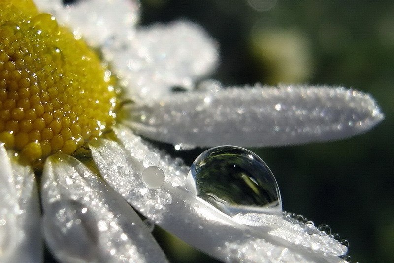  ! - 26  2017  10:34 - 8