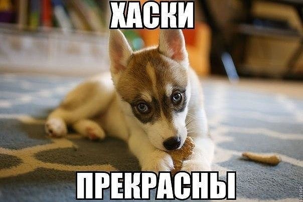 ***Victoria Viktorovna*** - 2  2017  15:24