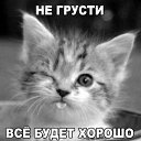 ���� ��������, ������, 62 ���� - ��������� 27 ������ 2017 � ������ ������ ��������