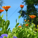 ���� �����, �������������, 23 ���� - ��������� 24 ���� 2017 � ������ ������ ��������