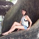 ���� �������, ������, 52 ���� - ��������� 20 ���� 2017 � ������ ���� ����������