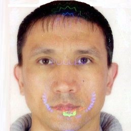 ���� ����, ���, 51 ��� - ��������� 25 ���� 2017