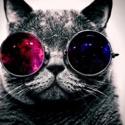 �������, ���������