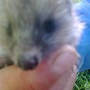 ���� �, ���� - ��������� 28 �������� 2017 � ������ ������ ��������