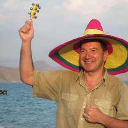 ���� ������, ������, 44 ���� - ��������� 8 ���� 2017