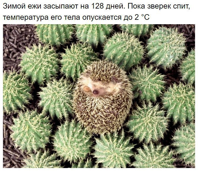     - 7
