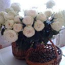    , -- -  20  2017   ...   ...